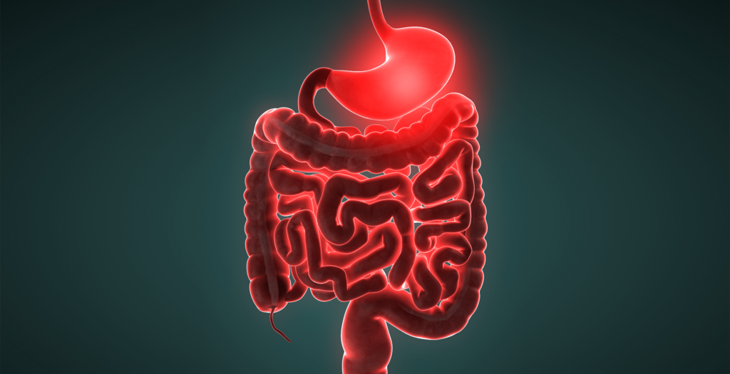 gastroenterites